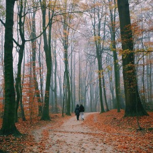 Caminando por la naturaleza-vida-